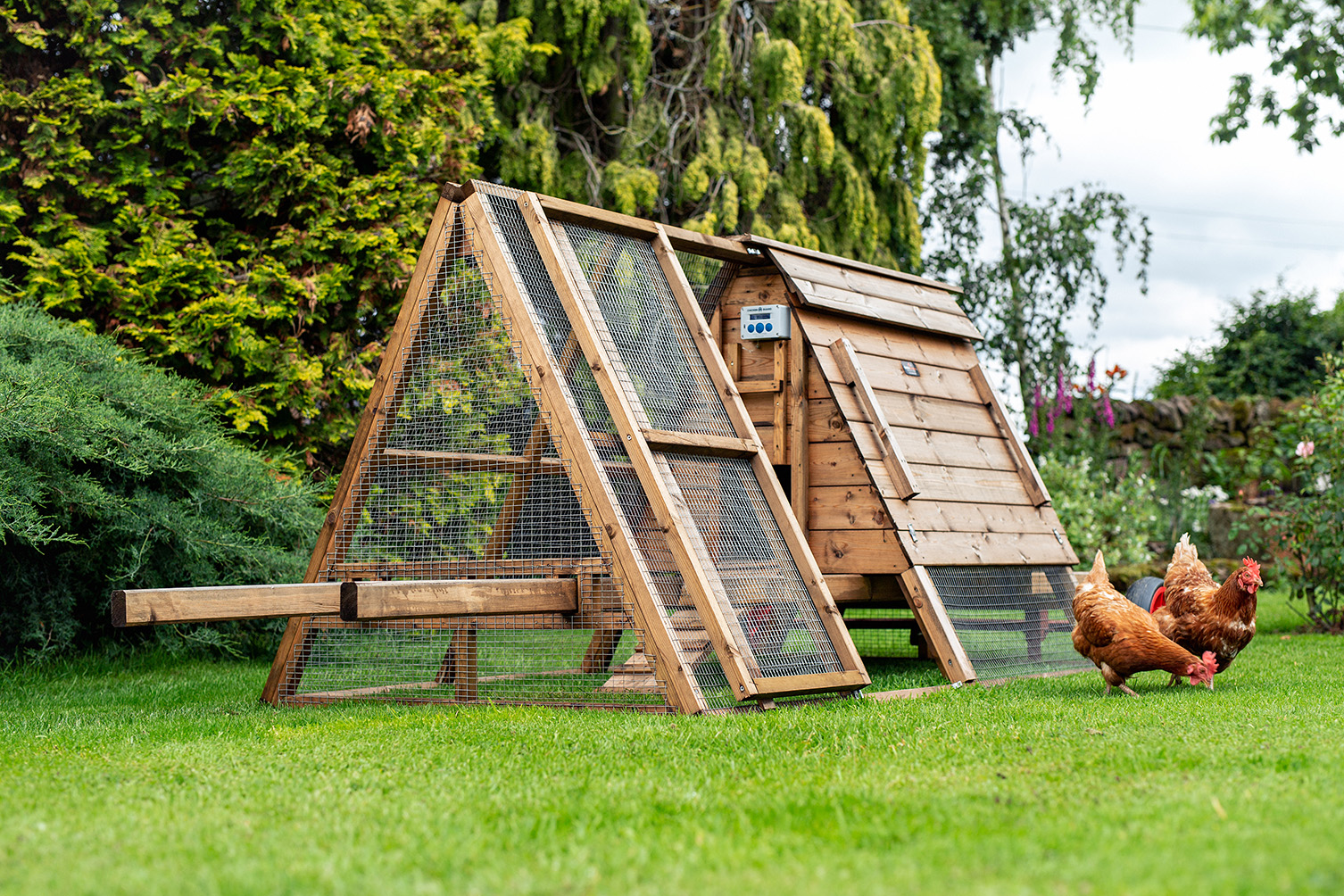 The Mini Dell Chicken Coop for 3 hens, raised hen coop with run, portable.