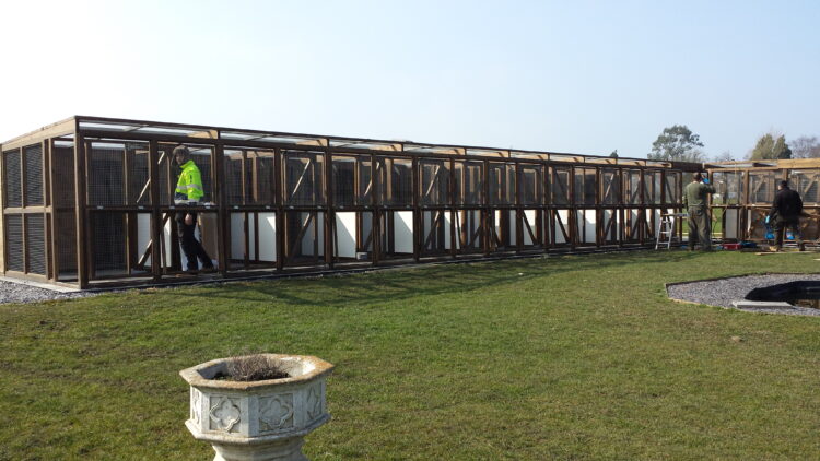 Quality Field Shelters, Chicken Coops and Other Animal Houses From the Heart of Shropshire