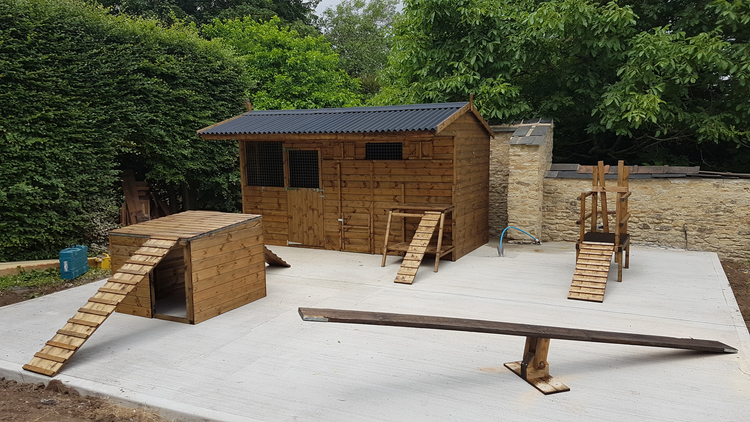Wooden playground & shelter for Goats