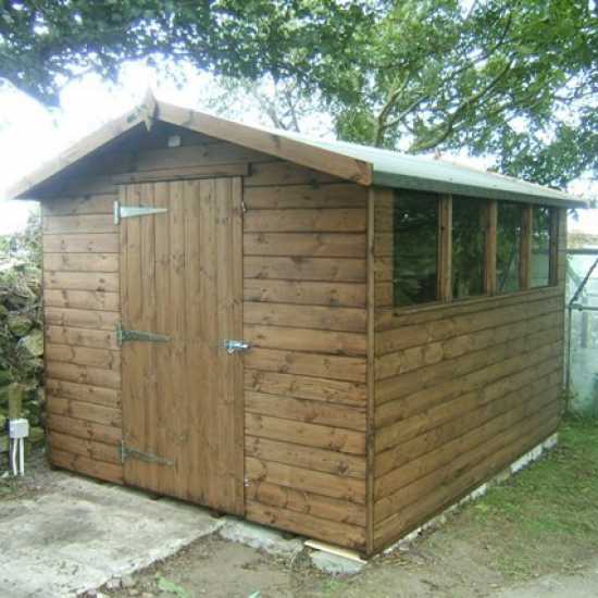 10' x 8' Apex Garden Shed