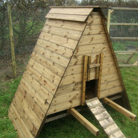 Large Dingle Chicken Coop