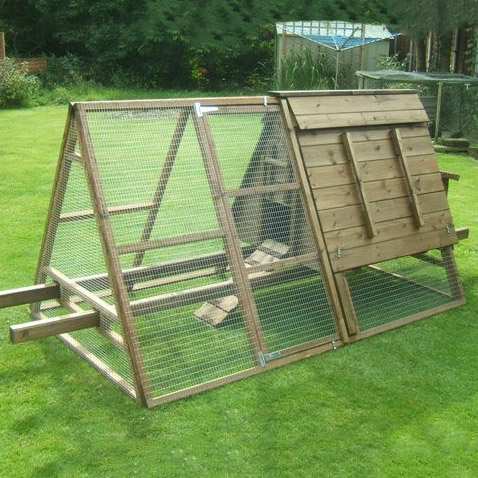 Mini Dell Chicken Coop and run